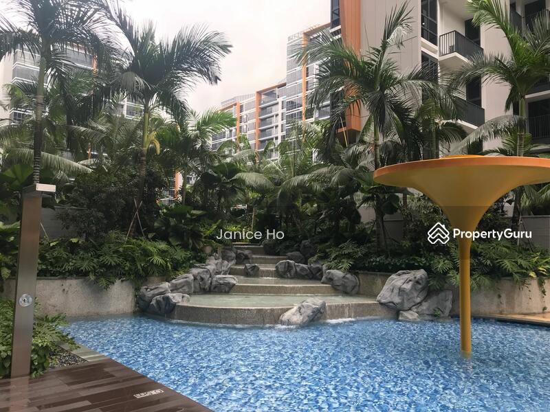 Coco Palms