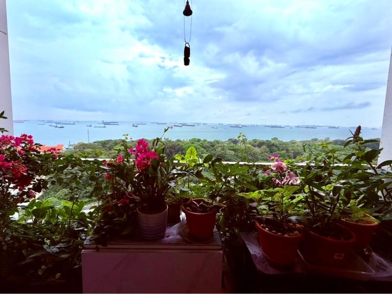Seaside Residences Condominium For Rent, $4,000, 1 Bed 1 Bath 506 sqft $7.91 psf