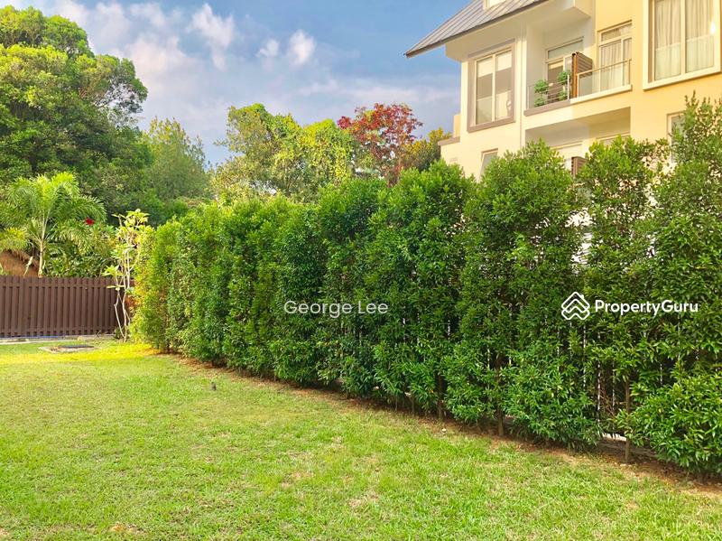 Newly upgraded Charmer!