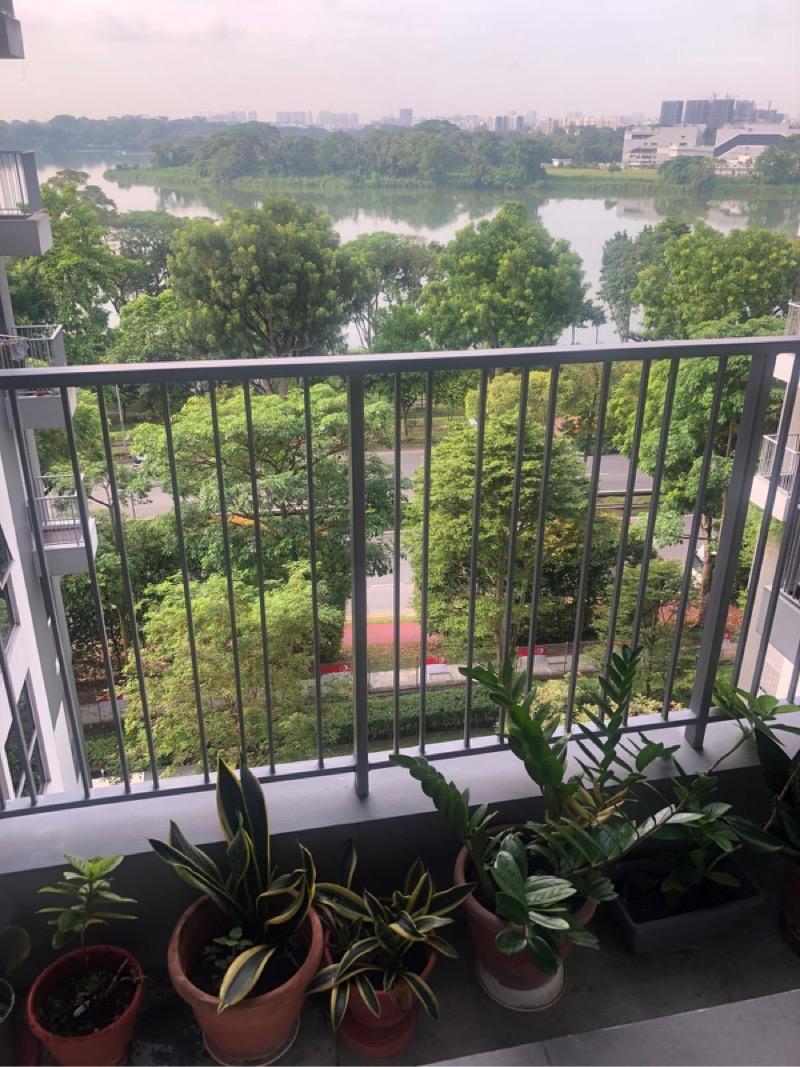 The Estuary @ Yishun Condominium Room Rental, $1,900, 1 Bed 1 Bath 150 sqft $12.67 psf