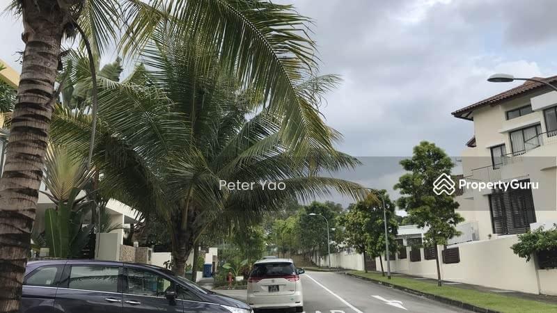 Easy Drive to S’Pore American School & GESS. Country Haven with Pool Semi-D House