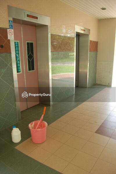 313A Anchorvale Road