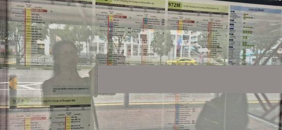 246 Bangkit Road HDB Apartment For Rent, $3,330, 3 Bed 2 Bath 1,250 sqft $2.66 psf