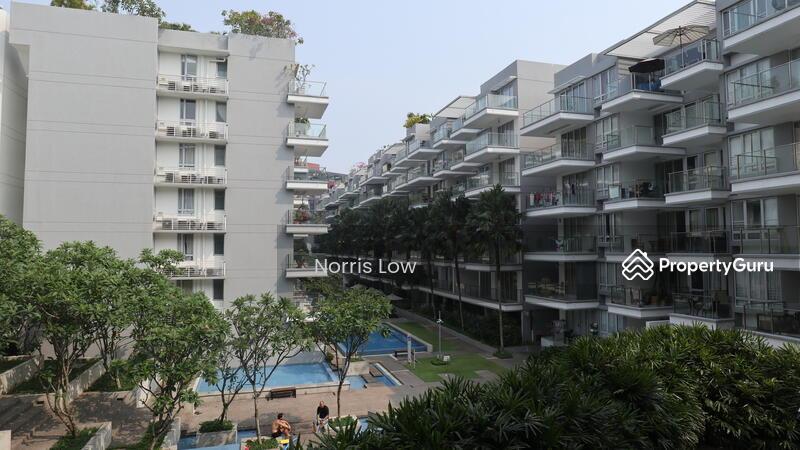 8 @ Mount Sophia