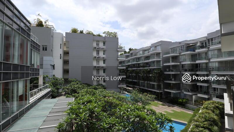 8 @ Mount Sophia
