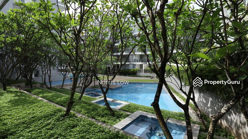 8 @ Mount Sophia