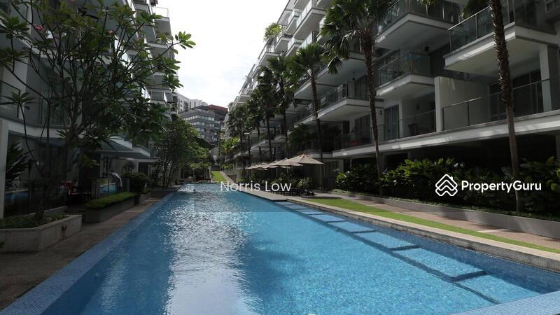 8 @ Mount Sophia