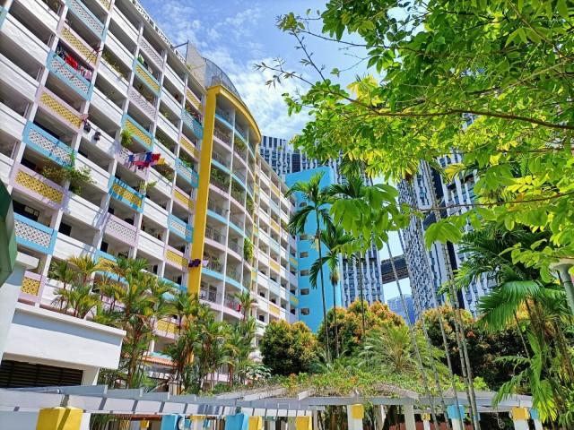 4 Everton Park HDB Apartment Room Rental, $1,900, 1 Bed 1 Bath 248 sqft $7.66 psf