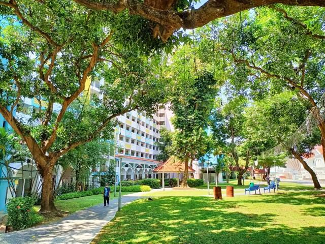 4 Everton Park HDB Apartment Room Rental, $1,900, 1 Bed 1 Bath 248 sqft $7.66 psf