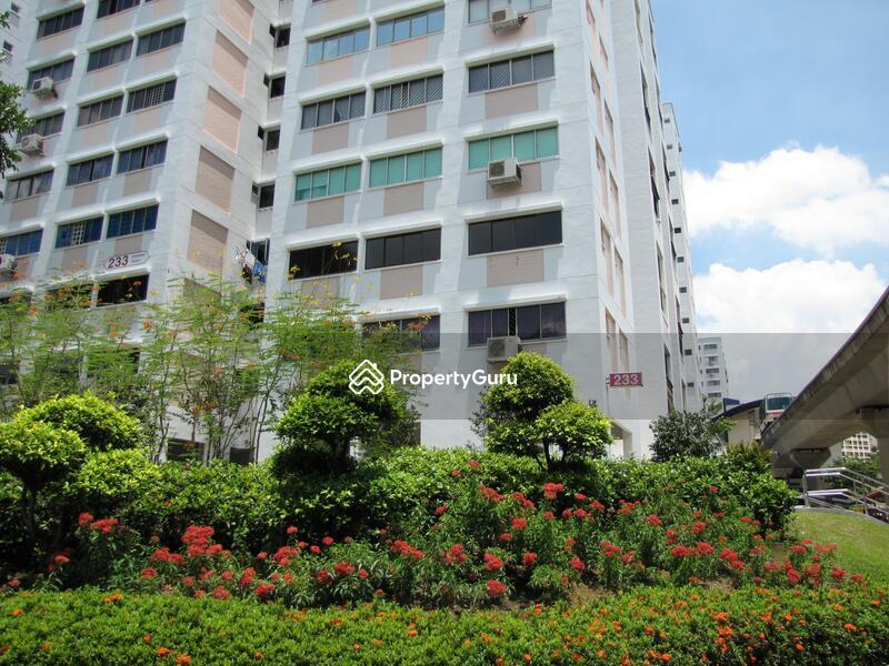 233 Pending Road