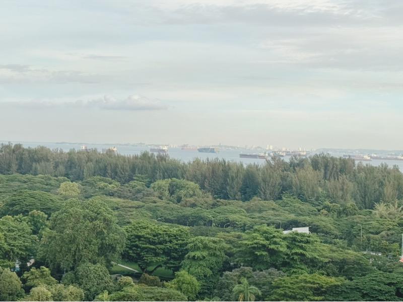 Fulcrum Condominium For Rent, $3,500, 1 Bed 1 Bath 474 sqft $7.38 psf