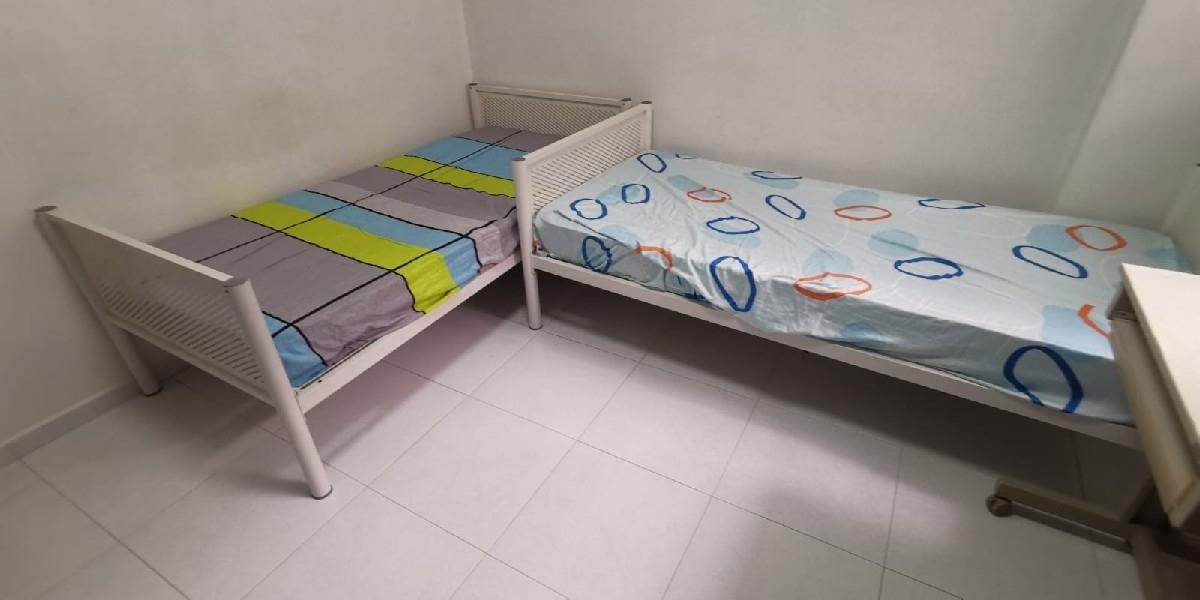 367 Tampines Street 34 HDB Apartment Room Rental, $1,100, 1 Bed 2 Bath 1,076 sqft $1.02 psf