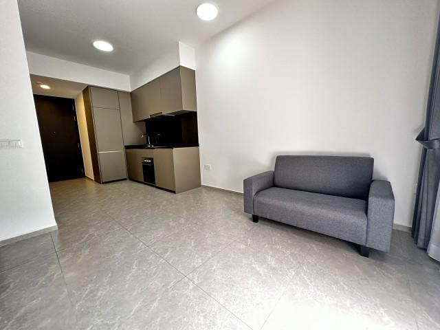 Park Colonial Condominium For Rent, $3,500, 1 Bed 1 Bath 463 sqft $7.56 psf