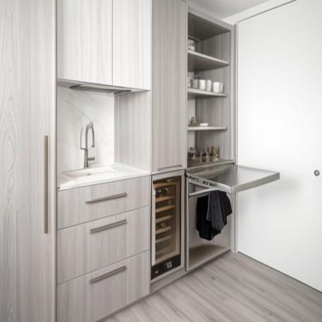 Skysuites @ Anson: D02 Anson Condominium | Prop-GPT the AI-Powered Property Guru