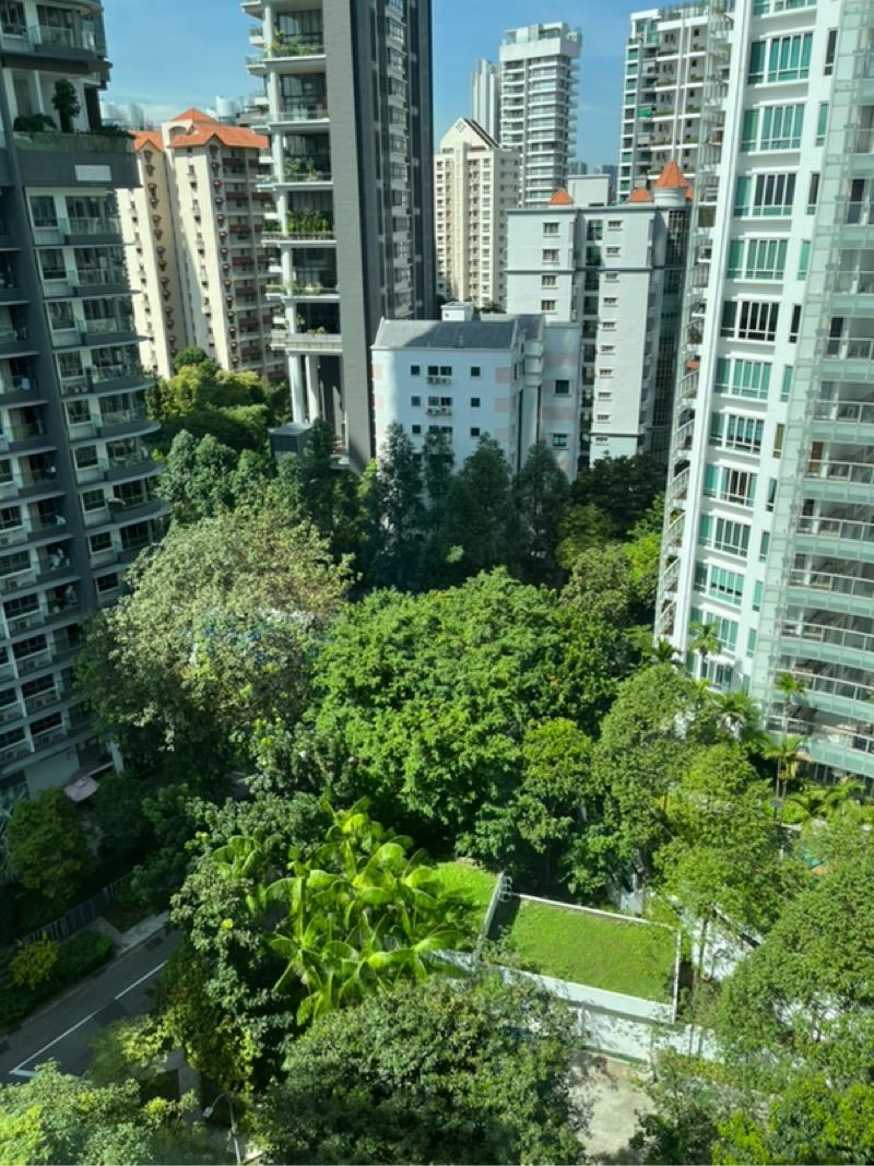 The Bayron Condominium For Rent, $9,000, 3 Bed 3 Bath 1,615 sqft $5.57 psf