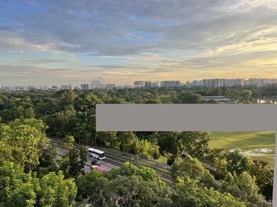 113 Jurong East Street 13 HDB Apartment Room Rental, $900, 1 Bed 1 Bath 225 sqft $4.00 psf