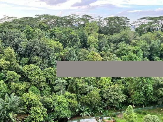 118 Clementi Street 13 HDB Apartment For Rent, $4,200, 3 Bed 2 Bath 1,130 sqft $3.72 psf