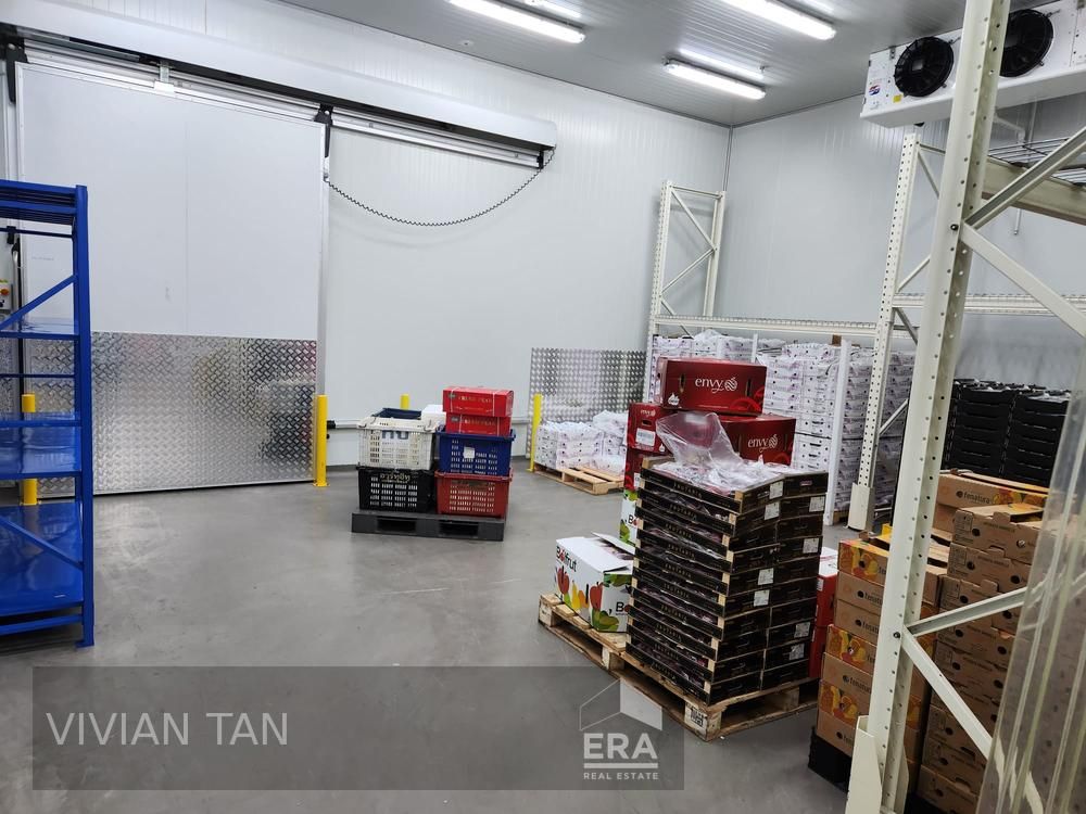 2k to 10k Sqf Bare Fitted Coldroom Central Kitchen