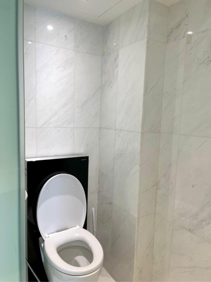 Condominium for Rent, Metro Loft Condominium For Rent, $3,000, 1 Bed 1 Bath 495 sqft $6.06 psf, SGD 3,000 | Freehold