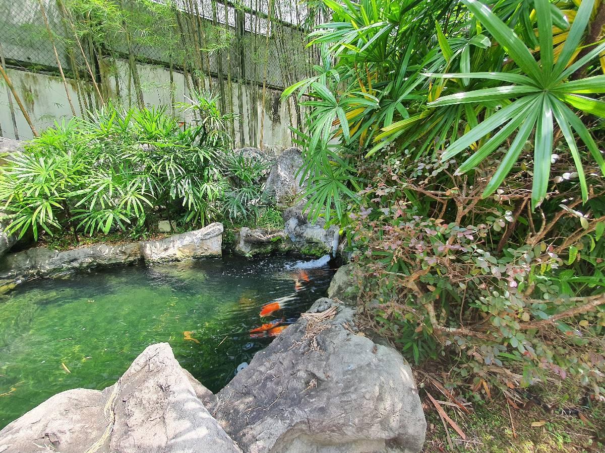Condominium for Rent, Seletaris Condominium For Rent, $5,200, 4 Bed 4 Bath 1,604 sqft $3.24 psf, SGD 5,200 | Freehold