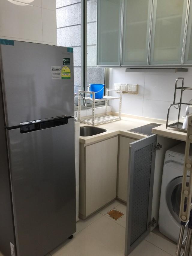 Apartment for Rent, Tyrwhitt 139 Apartment For Rent, $3,000, 2 Bed 1 Bath 495 sqft $6.06 psf, SGD 3,000 | Freehold