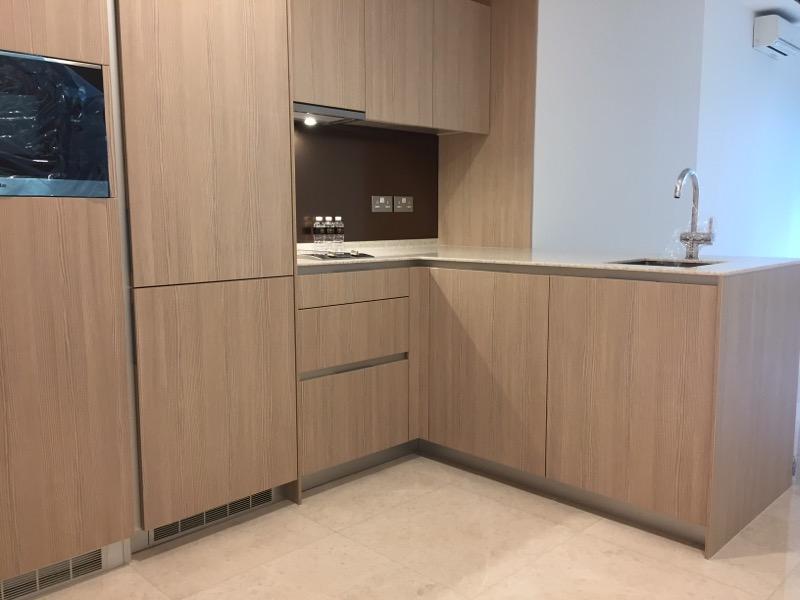 Apartment for Rent, Duo Residences Apartment For Rent, $5,000, 1 Bed 1 Bath 721 sqft $6.93 psf, SGD 5,000
