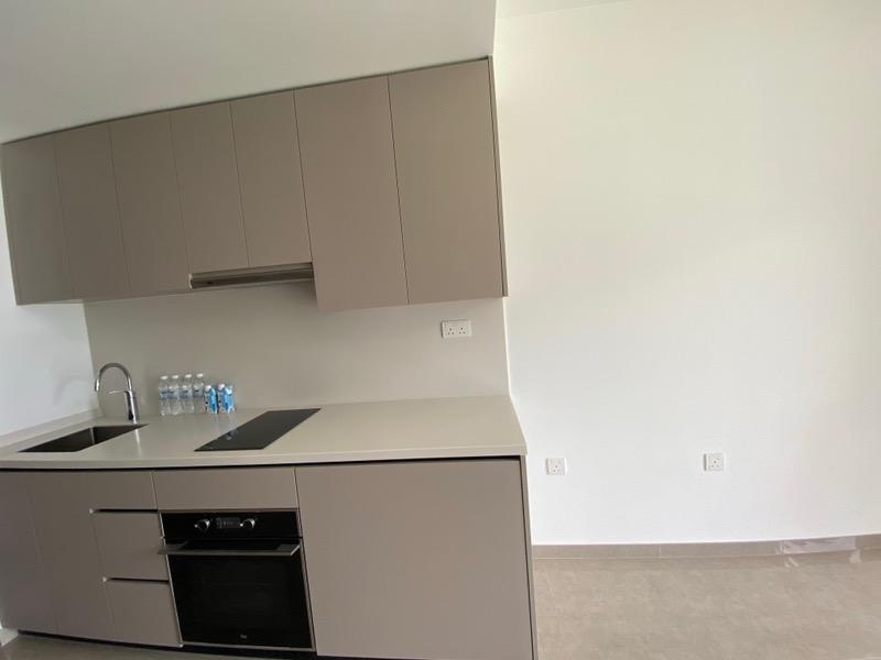Condominium for Rent, The Tapestry Condominium For Rent, $2,900, 1 Bed 1 Bath 441 sqft $6.58 psf, SGD 2,900 | 99-year Leasehold