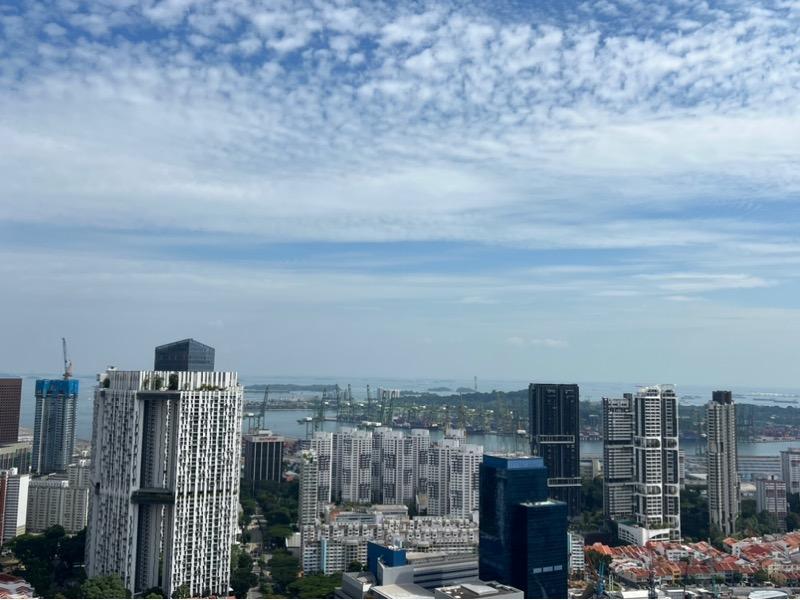 Condominium for Rent, One Pearl Bank Condominium For Rent, $5,999, 2 Bed 2 Bath 893 sqft $6.72 psf, SGD 5,999 | 99-year Leasehold