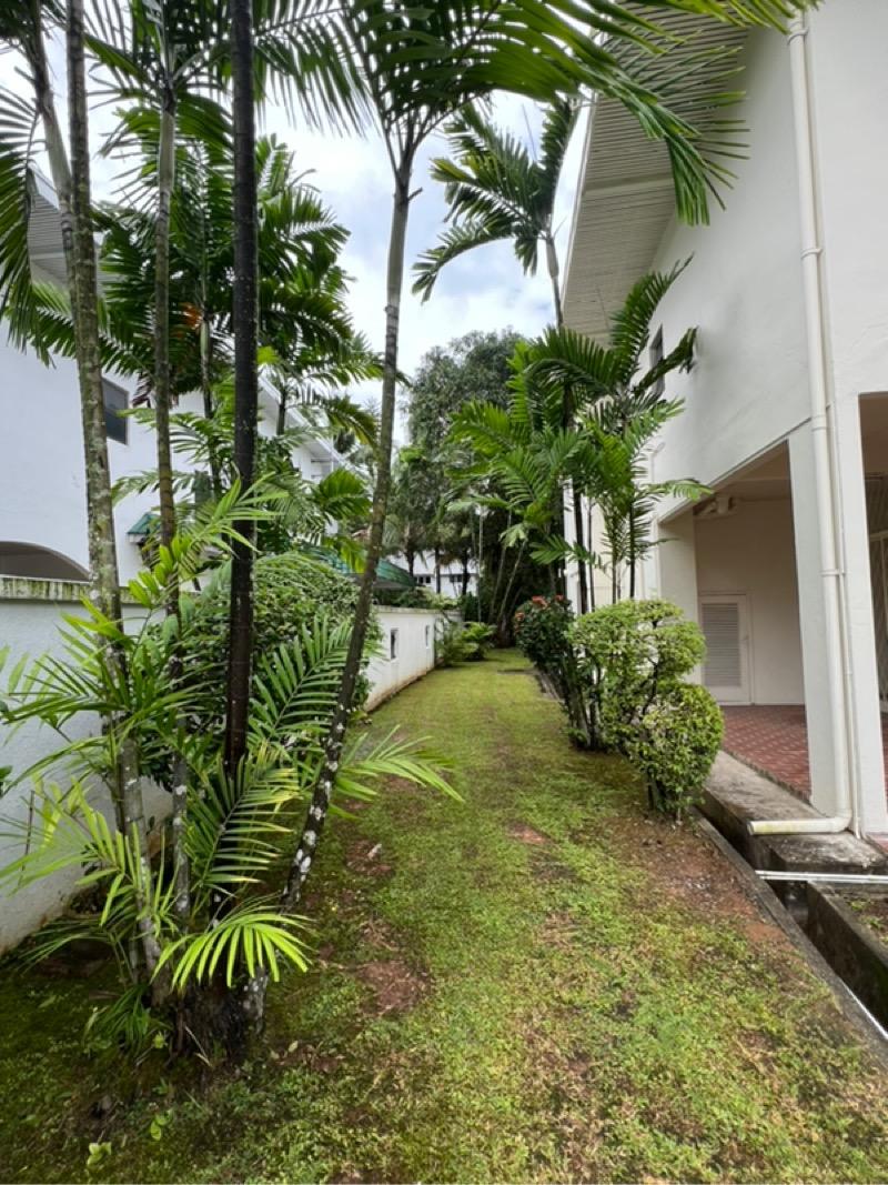 Detached for Rent, Clementi Park Detached House For Rent, $14,800, 4 Bed 4 Bath 4,200 sqft $2.41 psf, SGD 14,800 | Freehold