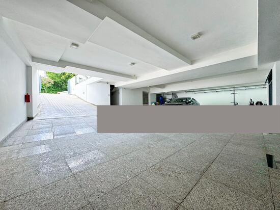 Semi-Detached for Rent: D10