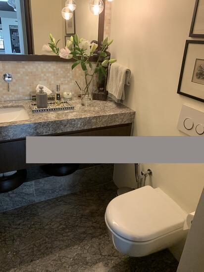 Conservation Home for Rent, Emerald Hill Conservation Area Conservation House For Rent, $22,000, 4 Bed 5 Bath 5,500 sqft $4.00 p, SGD 22,000 | Freehold
