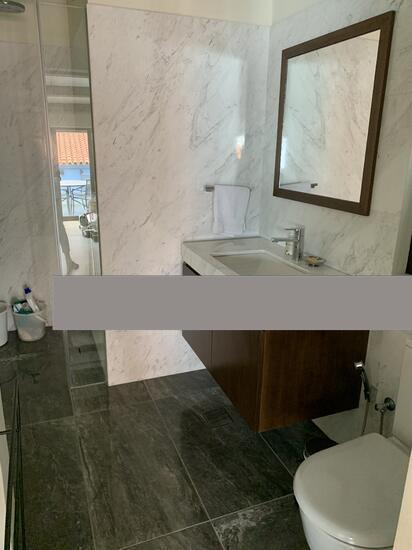 Conservation Home for Rent, Emerald Hill Conservation Area Conservation House For Rent, $22,000, 4 Bed 5 Bath 5,500 sqft $4.00 p, SGD 22,000 | Freehold