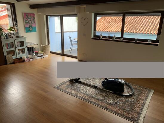 Conservation Home for Rent, Emerald Hill Conservation Area Conservation House For Rent, $22,000, 4 Bed 5 Bath 5,500 sqft $4.00 p, SGD 22,000 | Freehold