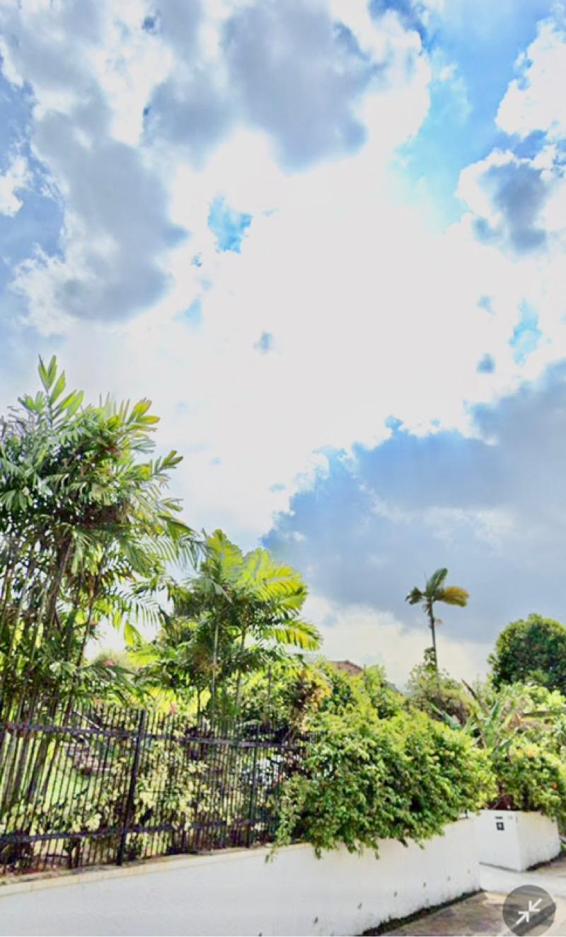 Prop-GPT: Detached: D13  Braddell Heights Estate