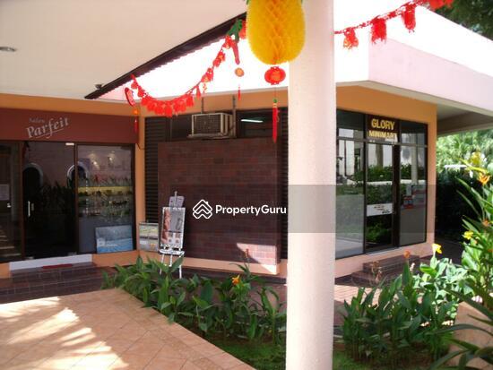 Condominium for Rent, Sommerville Park, SGD 6,000 | Freehold