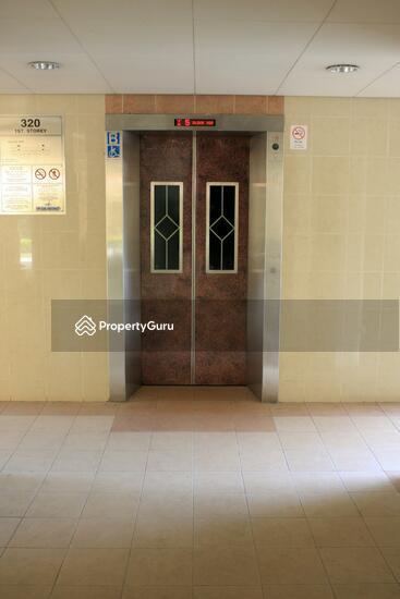 HDB Flat for Rent, 320 Ang Mo Kio Avenue 1, SGD 1,100 | 99-year lease