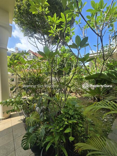 Semi-Detached for Rent, D9 Near ORCHARD MRT Beautiful Semi detached House, SGD 11,000 | Freehold