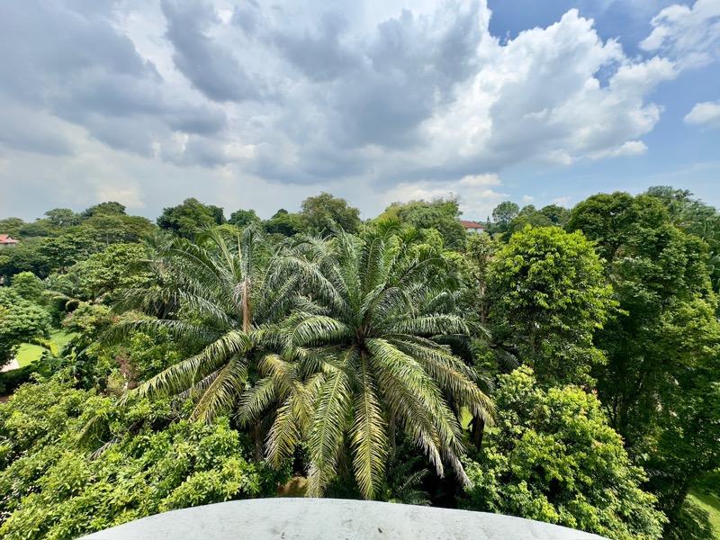 Apartment for Rent: D11, 288422