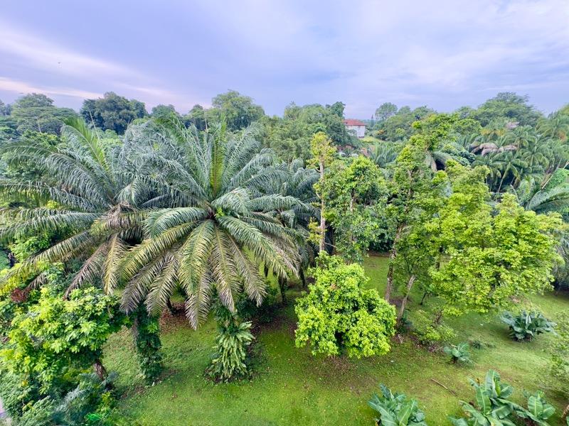 Apartment for Rent: D11, 288422