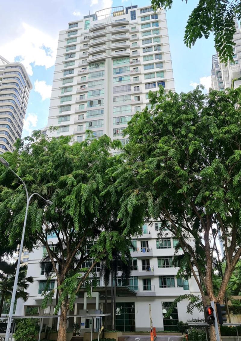 Apartment for Rent, Newton 21 (Former Newton Euro-Asia) Apartment For Rent, $6,800, 2 Bed 2 Bath 1,066 sqft $6.38 psf, SGD 6,800