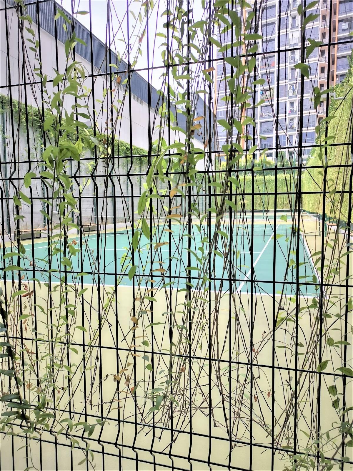 Condominium for Rent, Coco Palms Condominium For Rent, $3,150, 1 Bed 1 Bath 465 sqft $6.77 psf, SGD 3,150 | 99-year Leasehold
