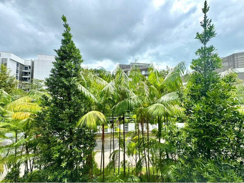 Condominium for Rent, SOPHIA HILLS Condominium For Rent, $5,300, 2 Bed 2 Bath 721 sqft $7.35 psf, SGD 5,300