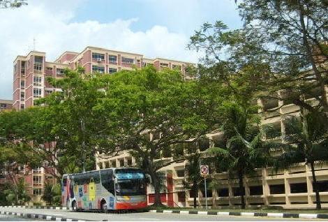 HDB Apartment for Rent, 233 Pasir Ris Drive 4 HDB Apartment For Rent, $4,300, 4 Bed 2 Bath 1,485 sqft $2.90 psf, SGD 4,300 | 99-year Leasehold