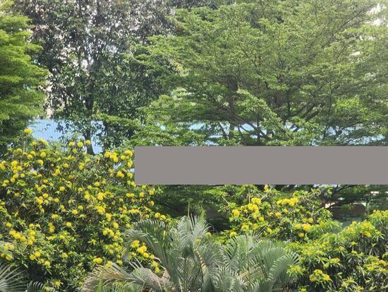 HDB Apartment for Rent, 462 Clementi Avenue 3 HDB Apartment For Rent, $4,500, 3 Bed 2 Bath 969 sqft $4.64 psf, SGD 4,500 | 99-year Leasehold