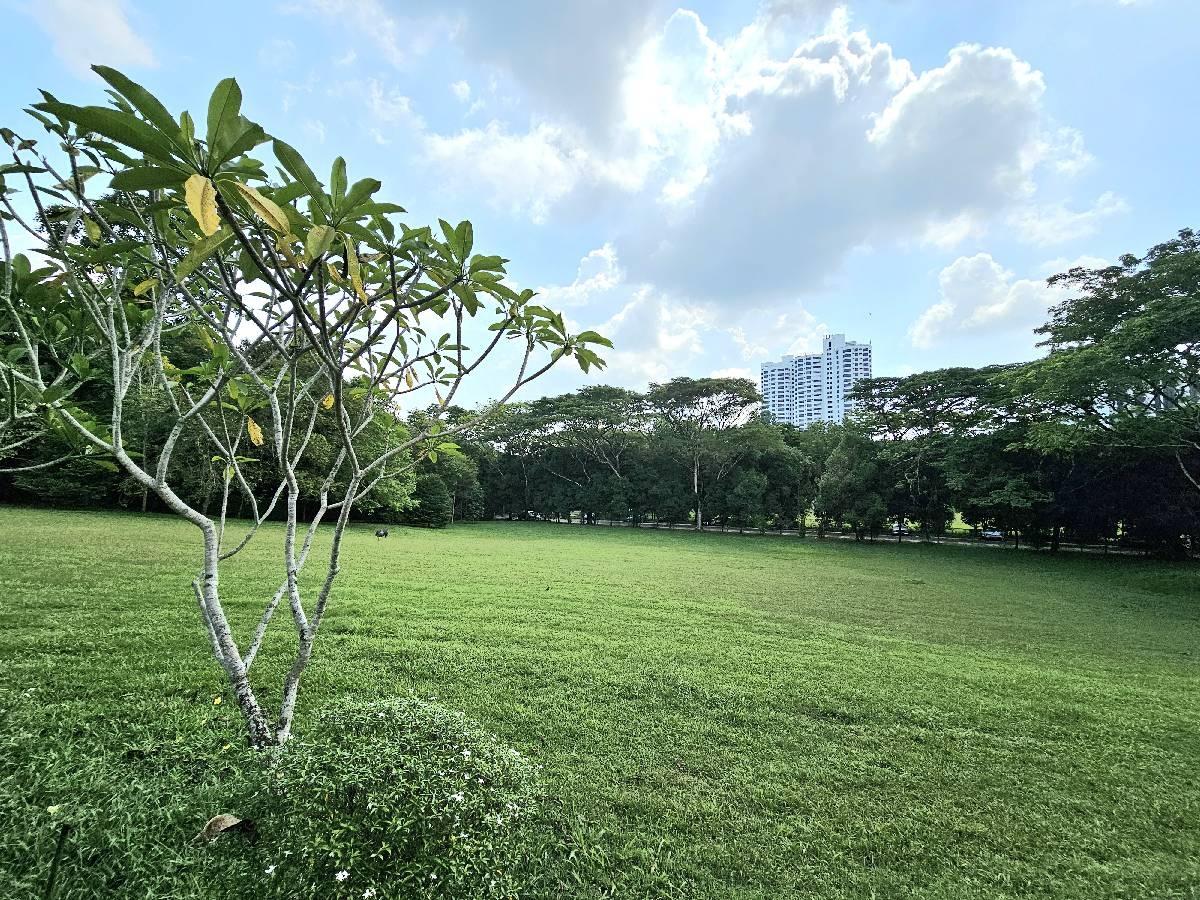 Jupiter Road Terraced House For Rent, $9,000, 4 Bed 4 Bath 4,000 sqft $4.93 psf