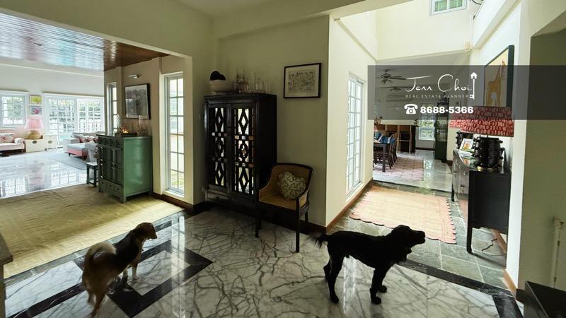 Bungalow for Rent, Hua Guan Bungalow D21 Bukit Timah Bungalow House For Rent, $16,900, 5 Bed 5 Bath 5,500 sqft $1.77 ps, SGD 16,900 | 999-year Leasehold