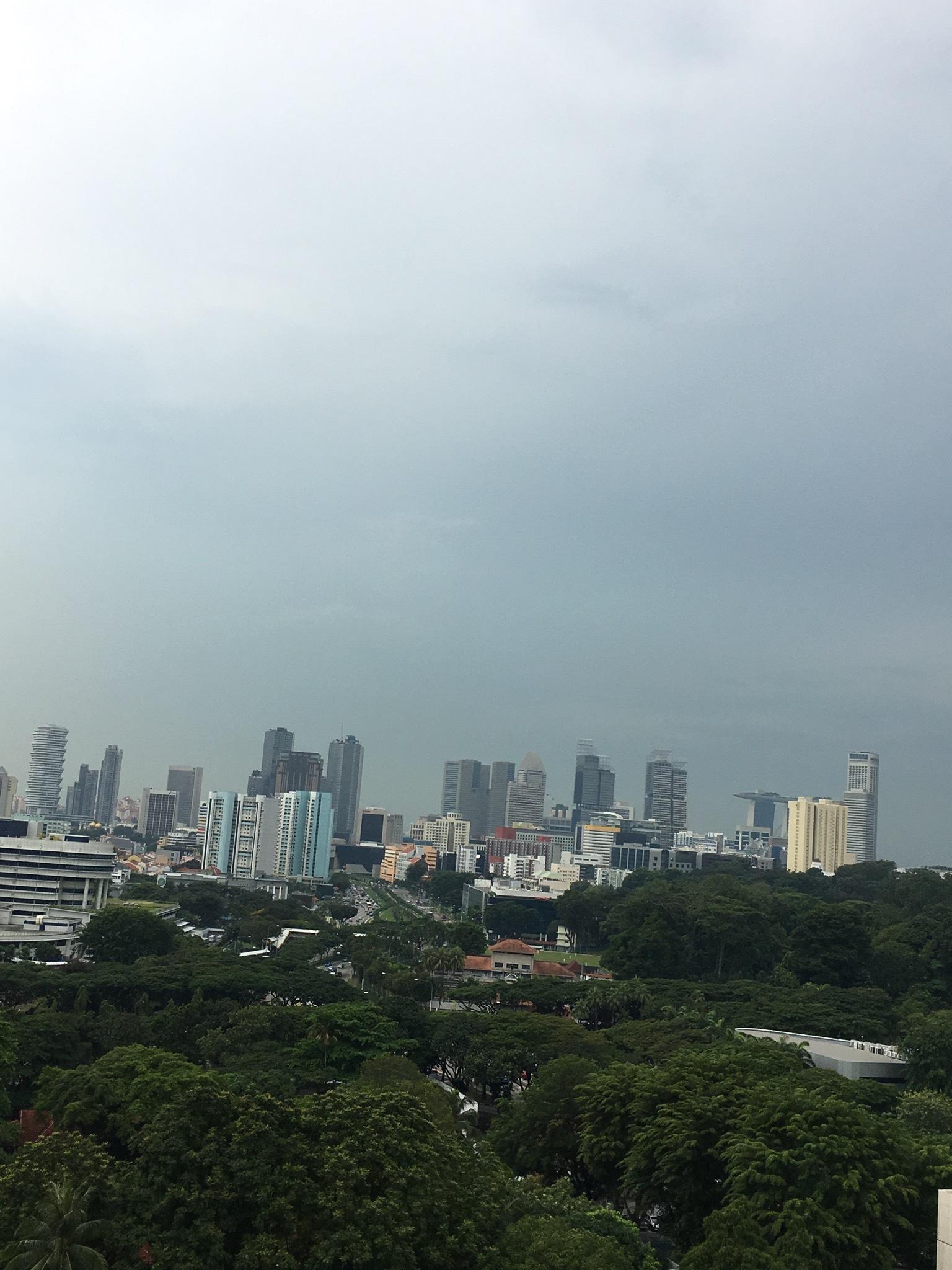 Condominium for Rent, Newton Edge, SGD 4,800 | Freehold