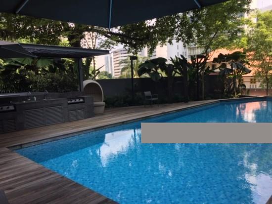 Apartment for Rent, The Peak @ Cairnhill II Apartment For Rent, $7,076, 2 Bed 2 Bath 904 sqft $7.83 psf, SGD 7,076 | Freehold