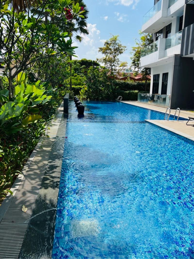 Apartment for Rent, The Serenno Apartment For Rent, $2,6001 Bath 200 sqft $13.00 psf, SGD 2,600 | Freehold