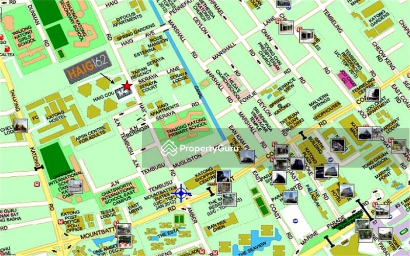 Condominium for Rent, Haig 162, SGD 3,300 | Freehold